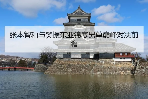 张本智和与樊振东亚锦赛男单巅峰对决前瞻