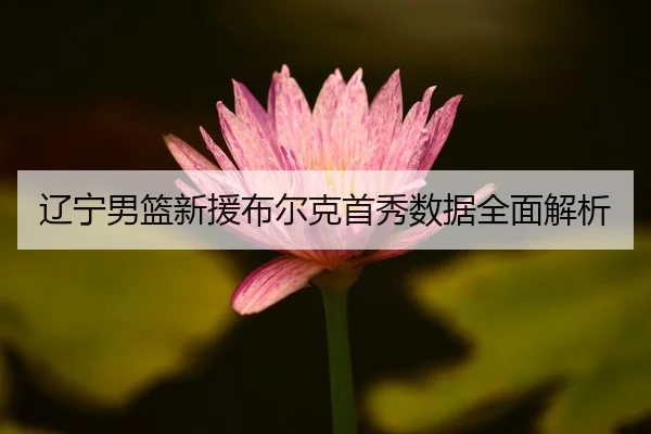 辽宁男篮新援布尔克首秀数据全面解析